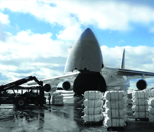 Freight Forwarding (Import/Export)