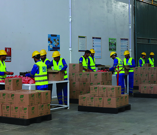 Logistics Manpower